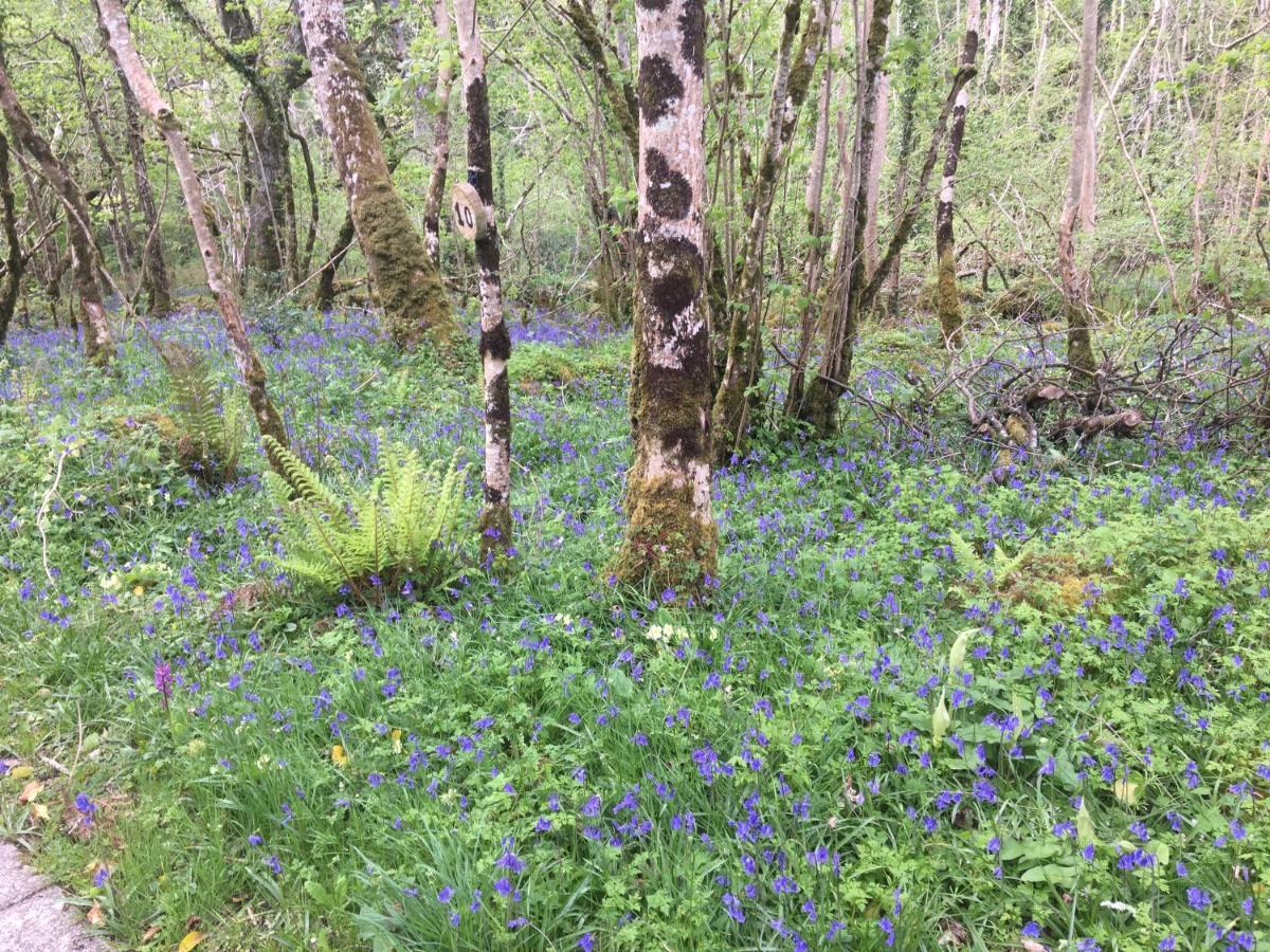 Bed and Breakfast Radharc Na Cuilcagh Эннискиллен Экстерьер фото